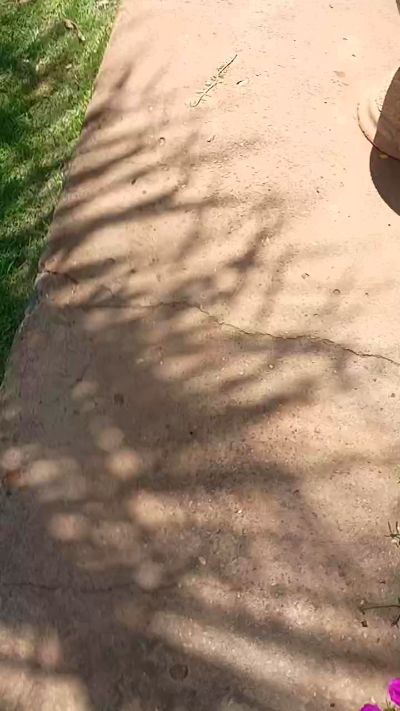 neyjunior6's Profile