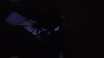 popppppp888's Profile