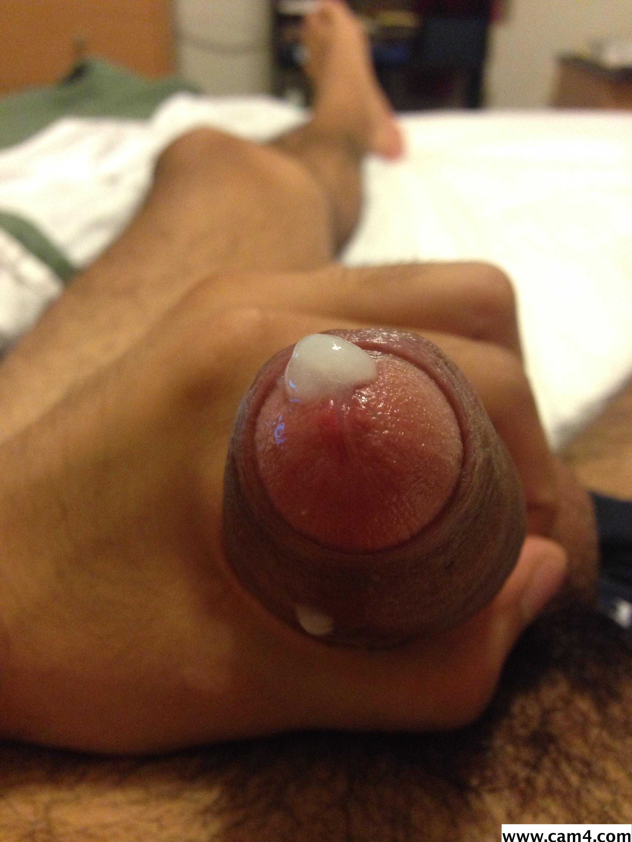 razz14's Profile
