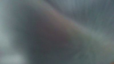 riki_rikard's Profile