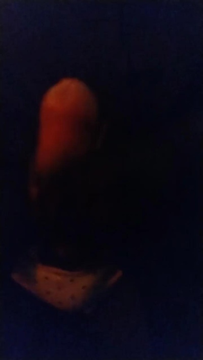 sugarladri's Profile
