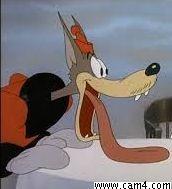 wrung1205 Profile Image